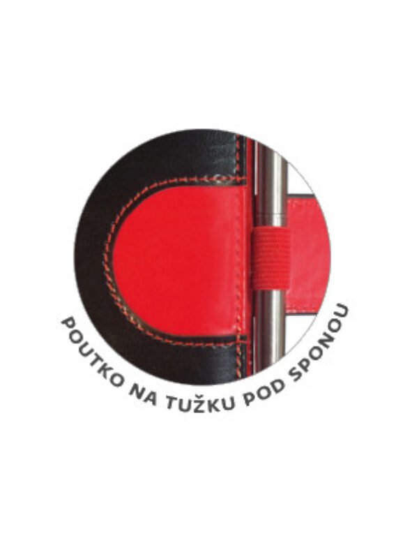 Zápisníky, poznámkové bloky, deníky a notesy - Linkovaný zápisník Flip L modro/bílý