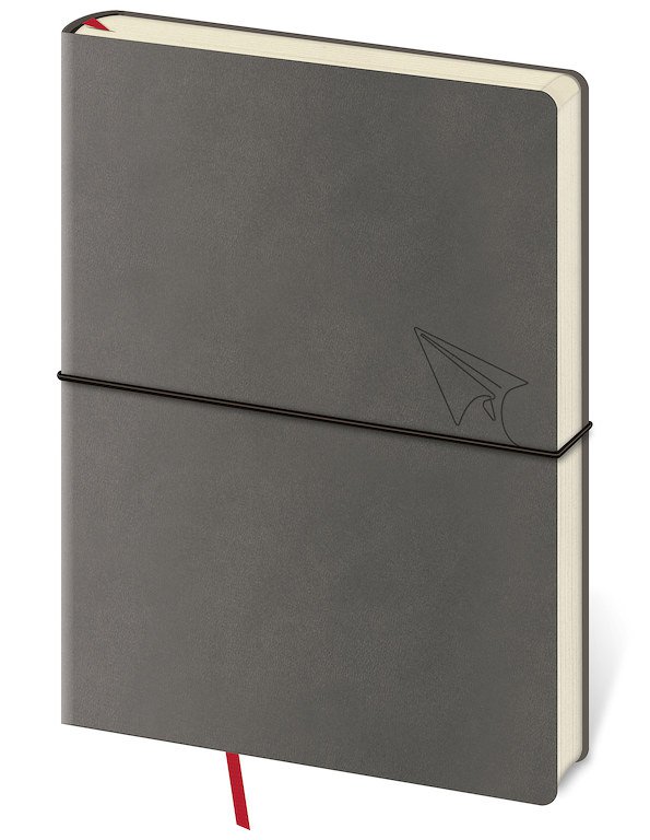 Památníky - Linkovaný zápisník Flexio L Grey