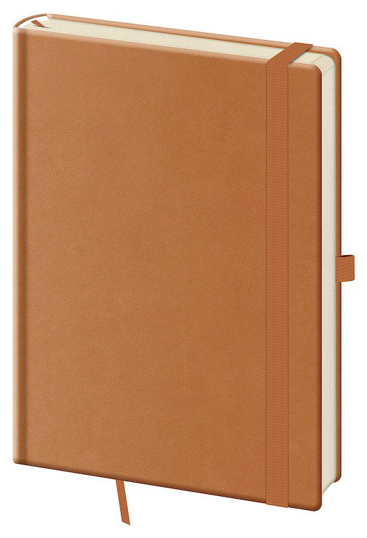Památníky - Linkovaný zápisník Print Plus L Natural brown