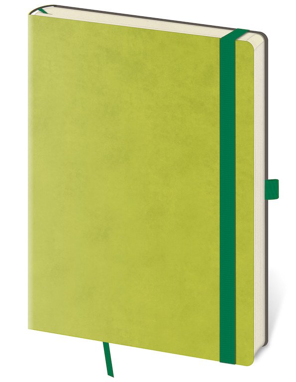 Památníky - Tečkovaný zápisník Flexies L Light Green (čtverečkovaný)