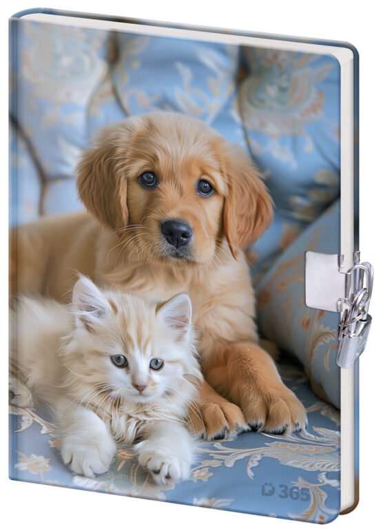 Zápisníky s gumičkou - Památník 13x18 cm se zámkem - Friends