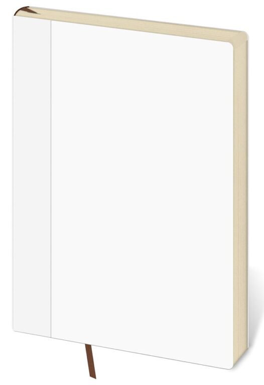 Zápisníky, poznámkové bloky, deníky a notesy - Náhradní náplň pro koženkové desky Flip B6/M linkovaný