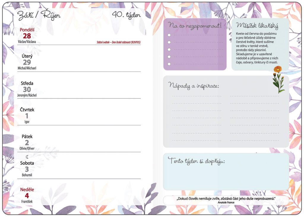 Diáře 2026, plánovací diáře - Týdenní diář B6 Bylinkový Meadow s gumičkou