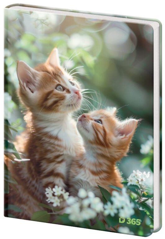 Zápisníky s gumičkou - Památník A5 13x18cm čistý Tabby