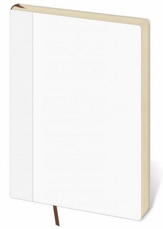 GOMMATO (matné bez struktury) - Náhradní náplň pro koženkové desky Flip B6/M denní